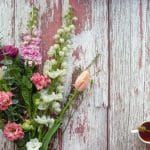 Célébrer les mamans